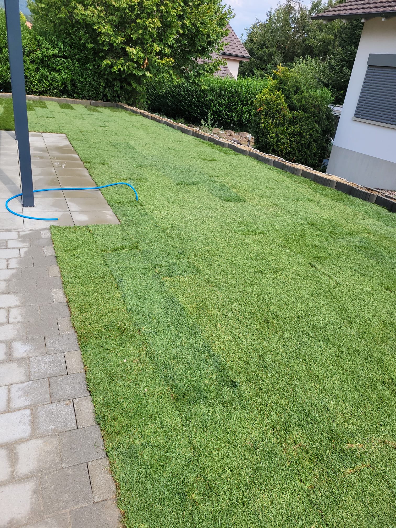Bilder Gartenbau Hoch3