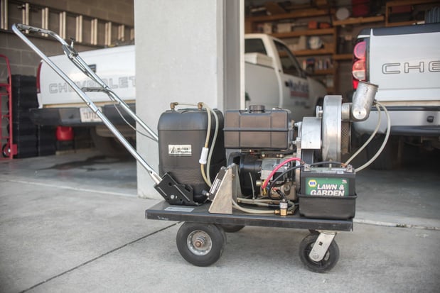 Images Massey Services Pest Control