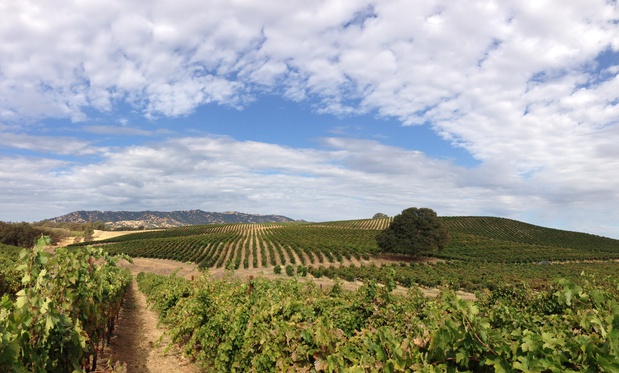 Images Berryessa Gap Vineyards Estate Winery
