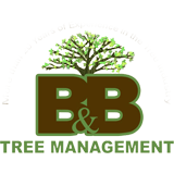 B&B Tree Management, LLC Logo