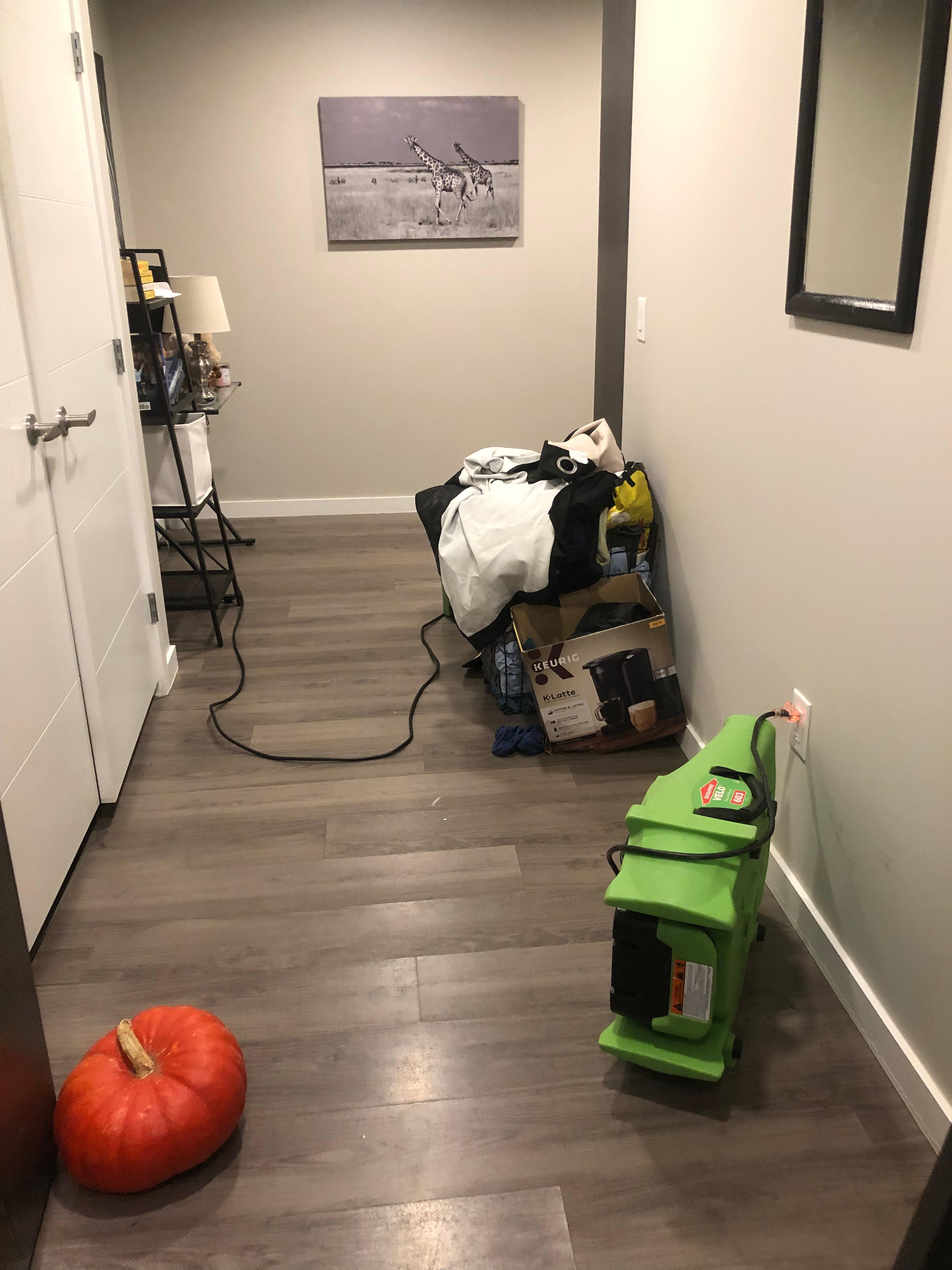 This homeowner gave our team at SERVPRO of Shoreline/Woodinville a call at the first sign of water damage.