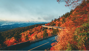 Curved mountainside highway surrounded by the colourful leaves of autumn trees.