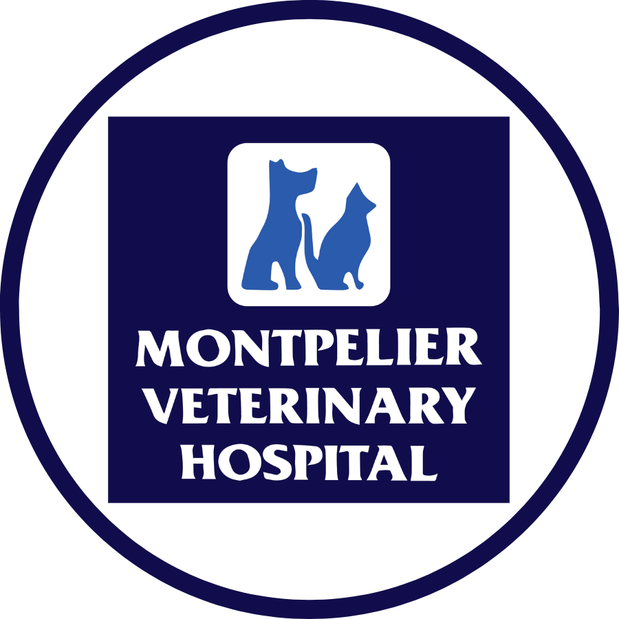 Montpelier Veterinary Hospital Logo