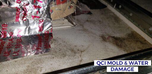 Image 15 | QCI Mold and Water Damage