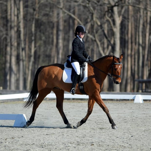 Images Blue Ribbon Riding Academy