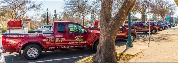 Images All in One Pest Control Inc
