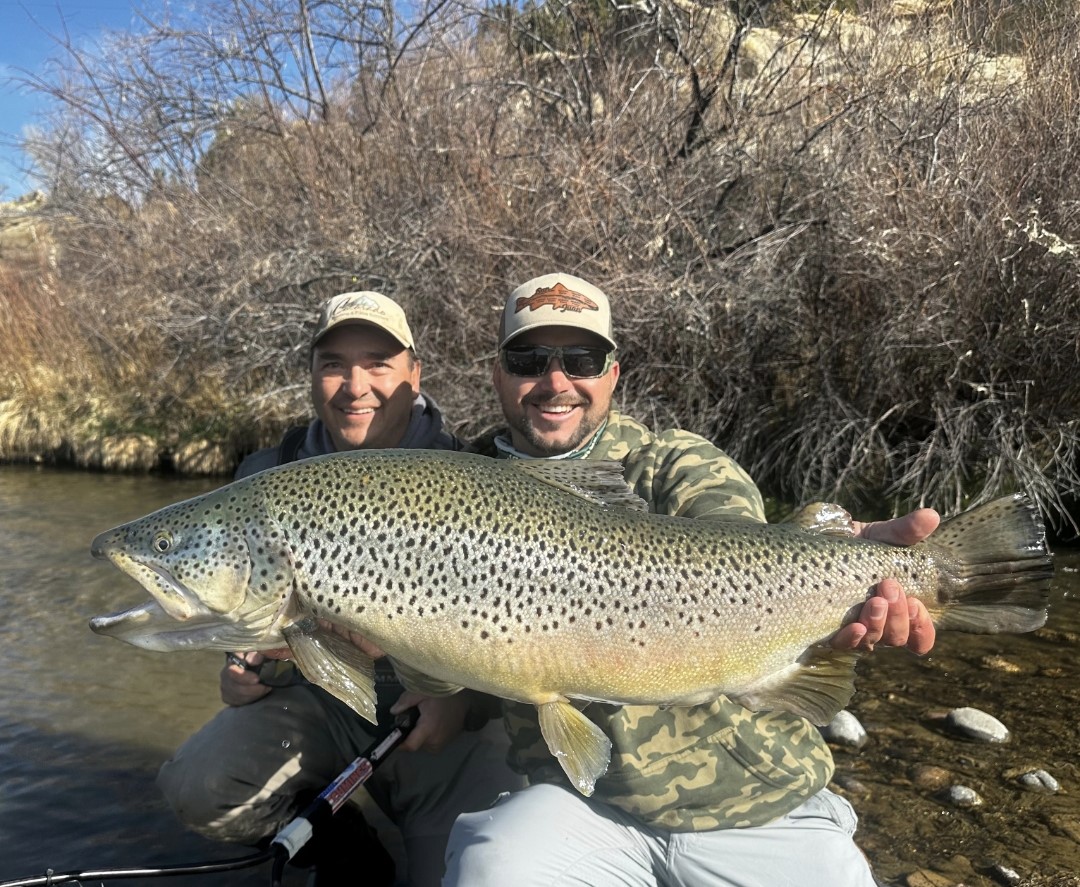 Two men are holding a large brown trout in a river. The men are smiling and wearing fishing hats and camouflage clothing. The fish is very large and appears to be a trophy catch. The background is a riverbank with dry brush and trees, and the sky is clear and blue. The overall scene depicts a successful fishing trip.
