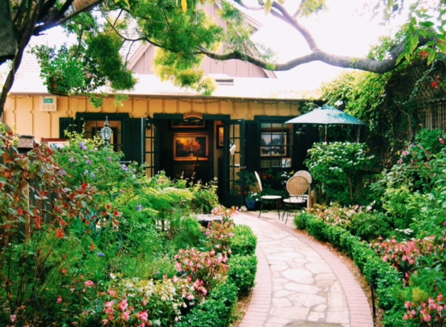 Gallery thumbnail