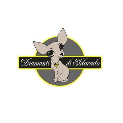 Allevamento amatoriale Chihuahua Diamanti Di Eldorado Logo