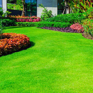 Images Felice Landscaping