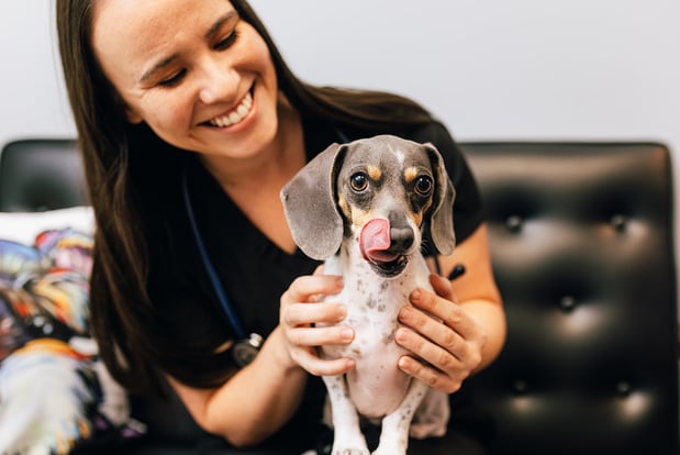 Images PetVet365 Pet Hospital Louisville / Jeffersontown