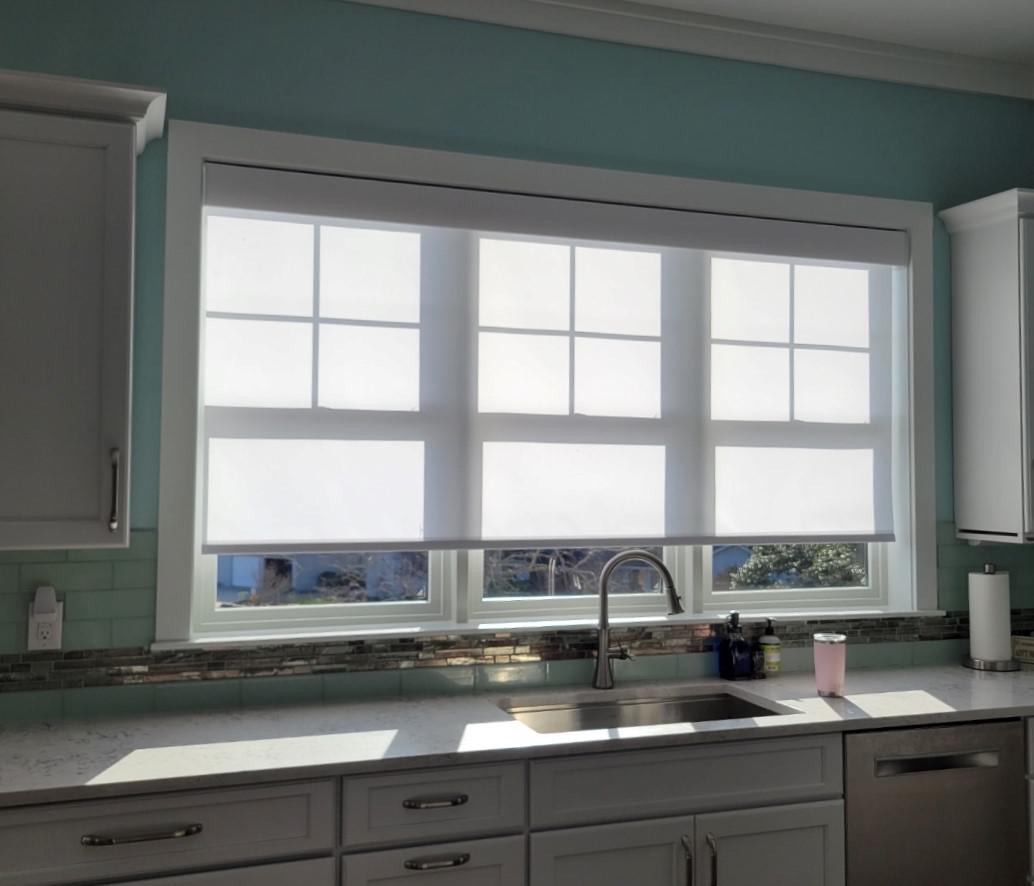 Lutron Electronics Roller Shades