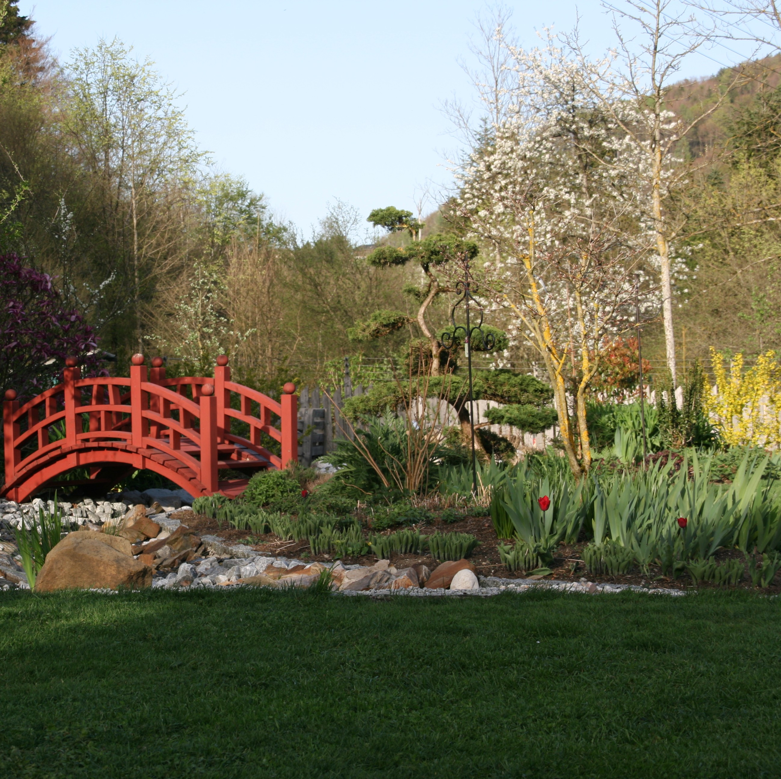 Bild 37 von Grün-Zone