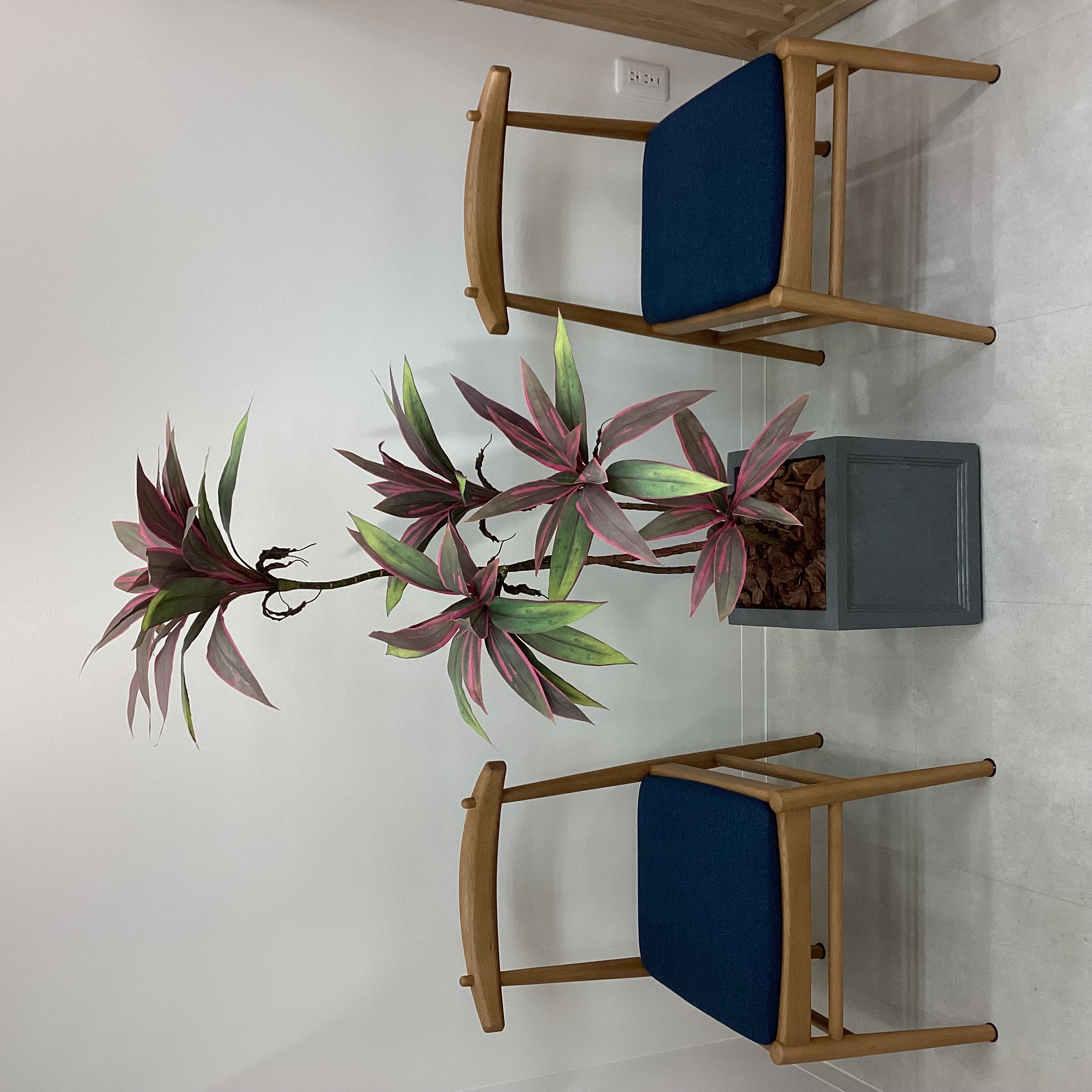 Images KOMEHYO（コメ兵）買取センター西武福井店