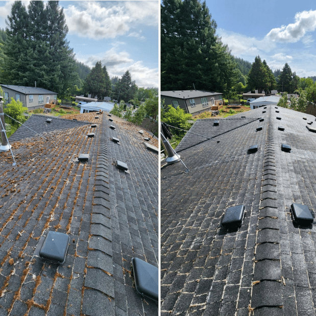Images NJM Roof & Gutter Cleaning