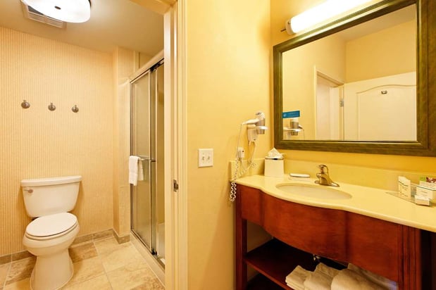 Images Hampton Inn Montrose