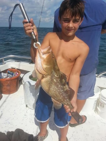 Images Fish N Fever Charters