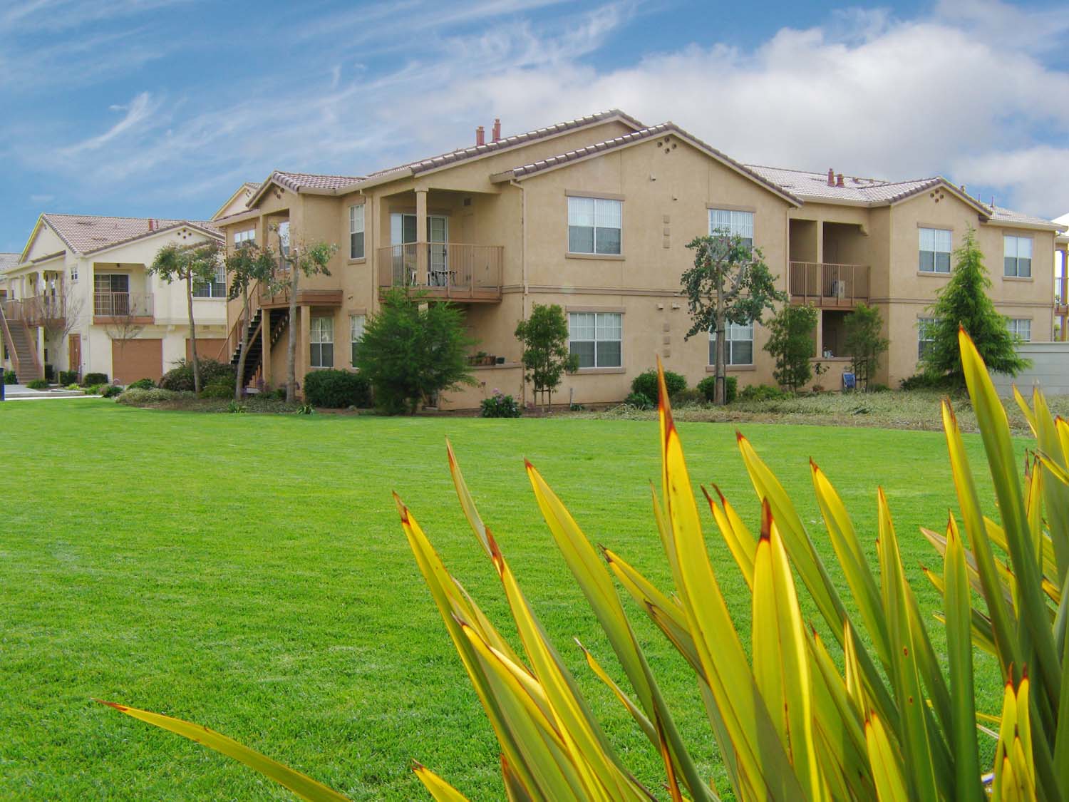 A grassy area in front of apartment buildings.