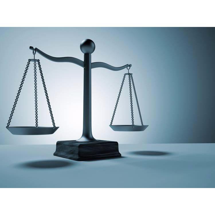 Professional Adjusting &amp; Consulting Service, LLC Logo