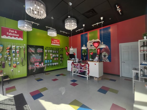 Images Splash and Dash Groomerie & Boutique