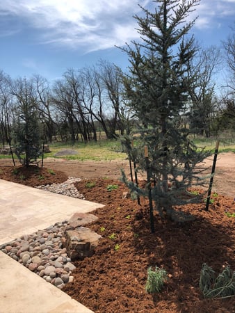 Images Elite Landscape Solutions LLC