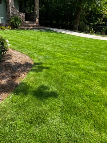 Images Greenway Lawn Care