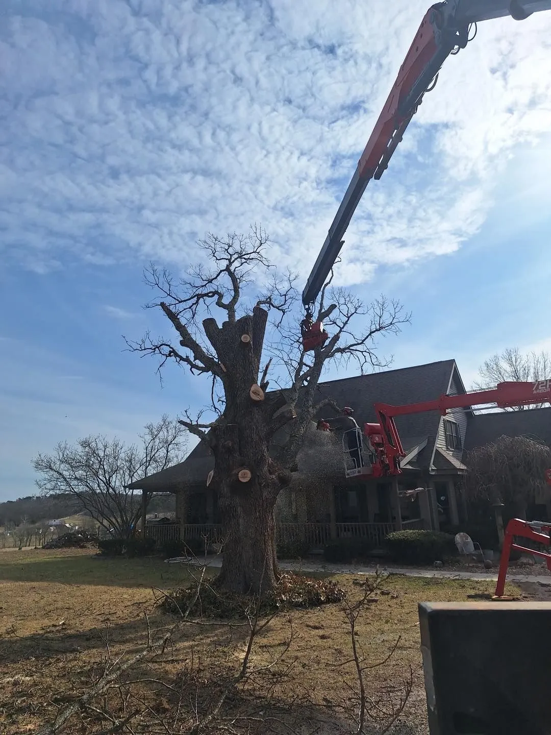 Casey's Tree Service LLC Image