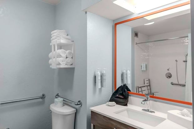 Images Hampton Inn Sarasota - I-75 Bee Ridge
