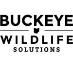 Buckeye Wildlife Solutions Logo