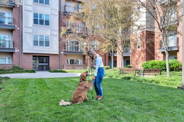Images Camden College Park Apartments