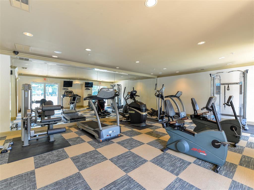 Athletic Club with Cardio and Free Weight Areas at Sugarloaf Crossing Apartments