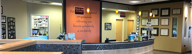 Images VCA Fairmount Animal Hospital
