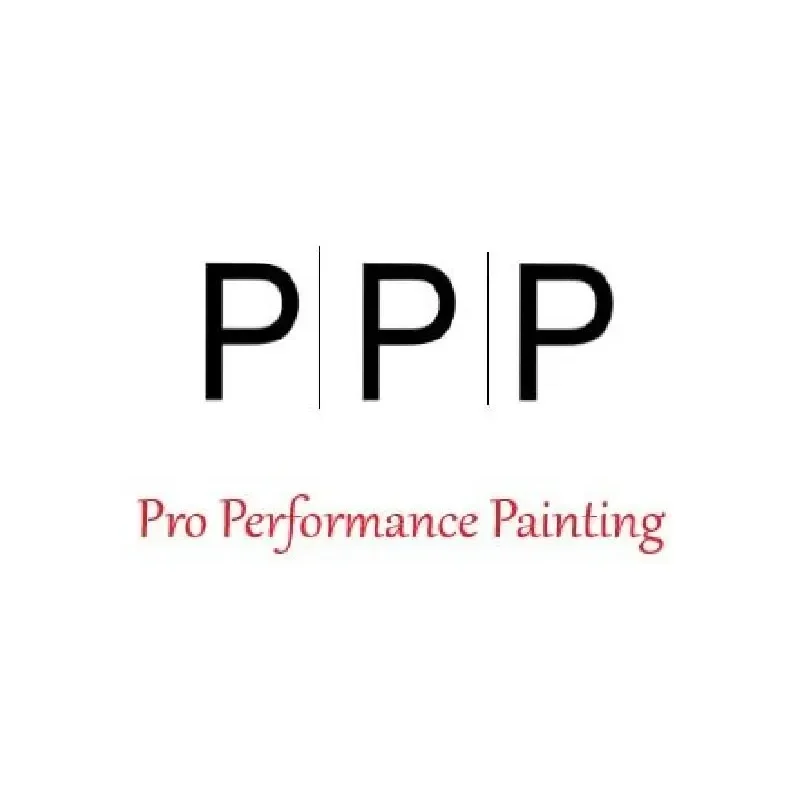 LOGO Pro Performance Painting Woking 07578 952841