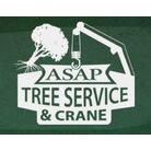 ASAP Tree and Crane Services - Indianapolis, IN 46236 - (317)755-6590 | ShowMeLocal.com
