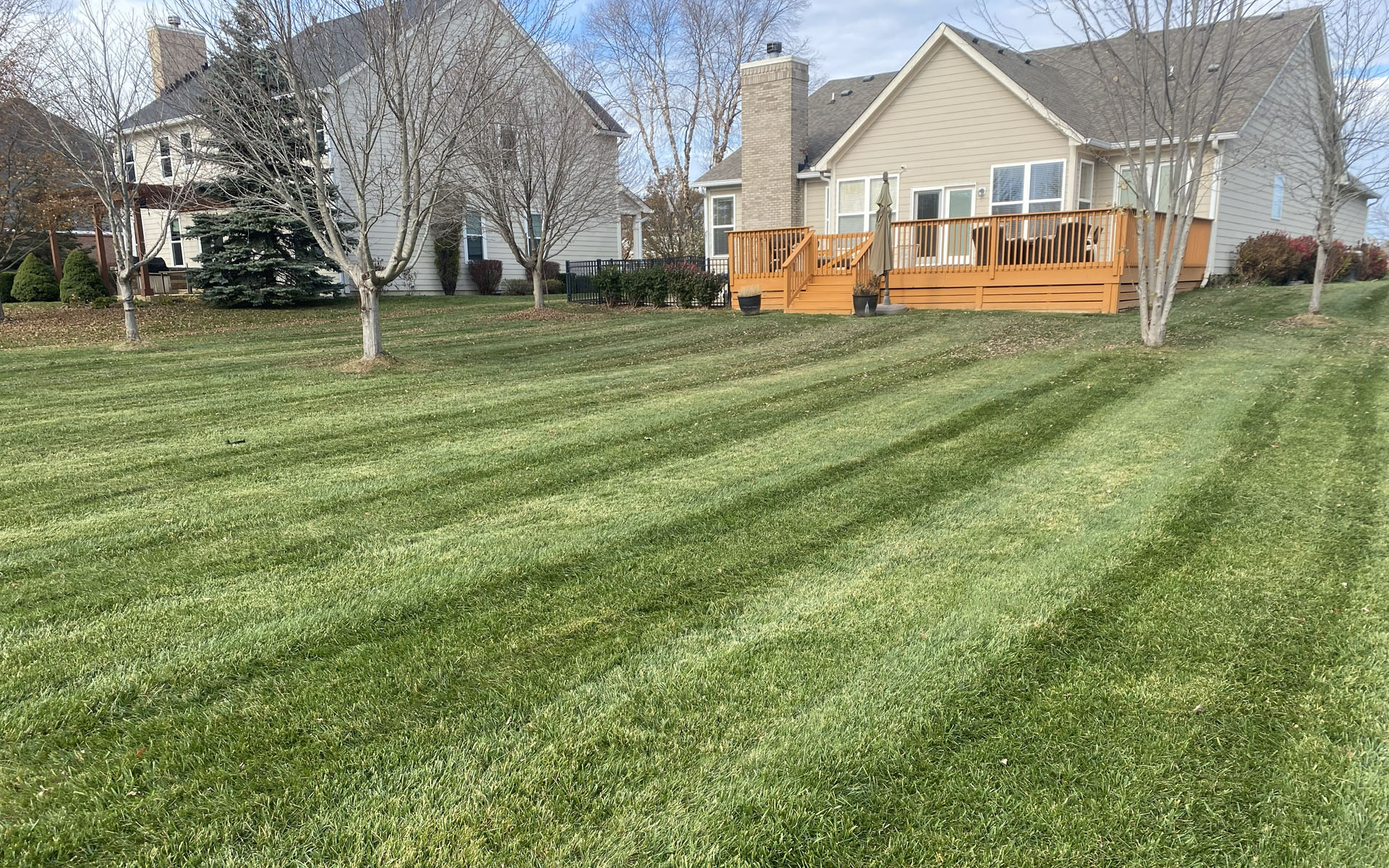 Rooted Lawn & Landscape Image