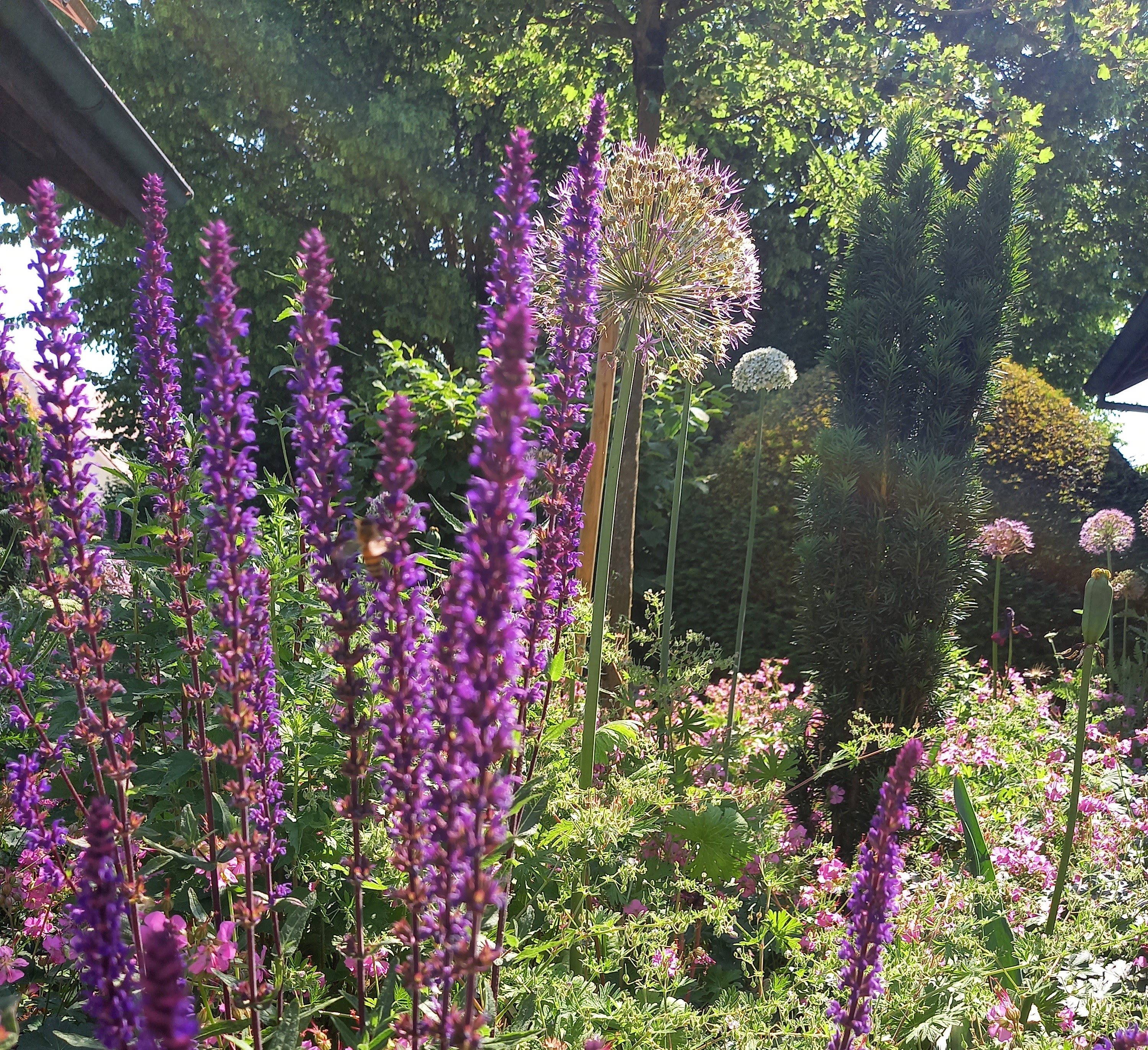 Stooss Gartenbau-Unterhalt, Scharlenweg 11 in Flumenthal