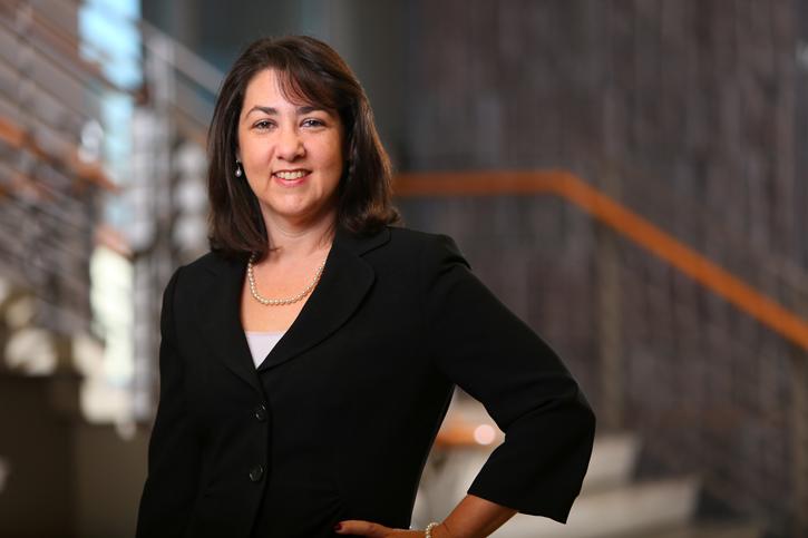 The Law Offices of Wendy Anderson, Pllc