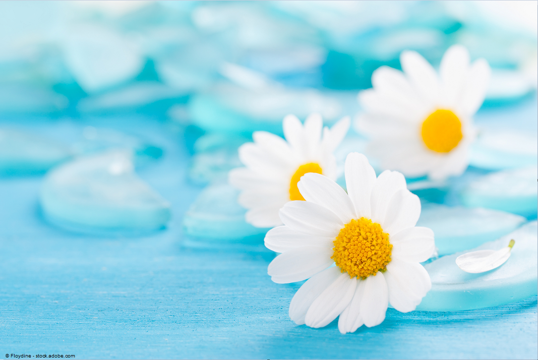 Hautärztin Dr. Eman Lotz, Am Zeughaus 9-13 in Schweinfurt