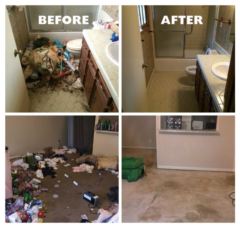 Before and after a cleanup job!