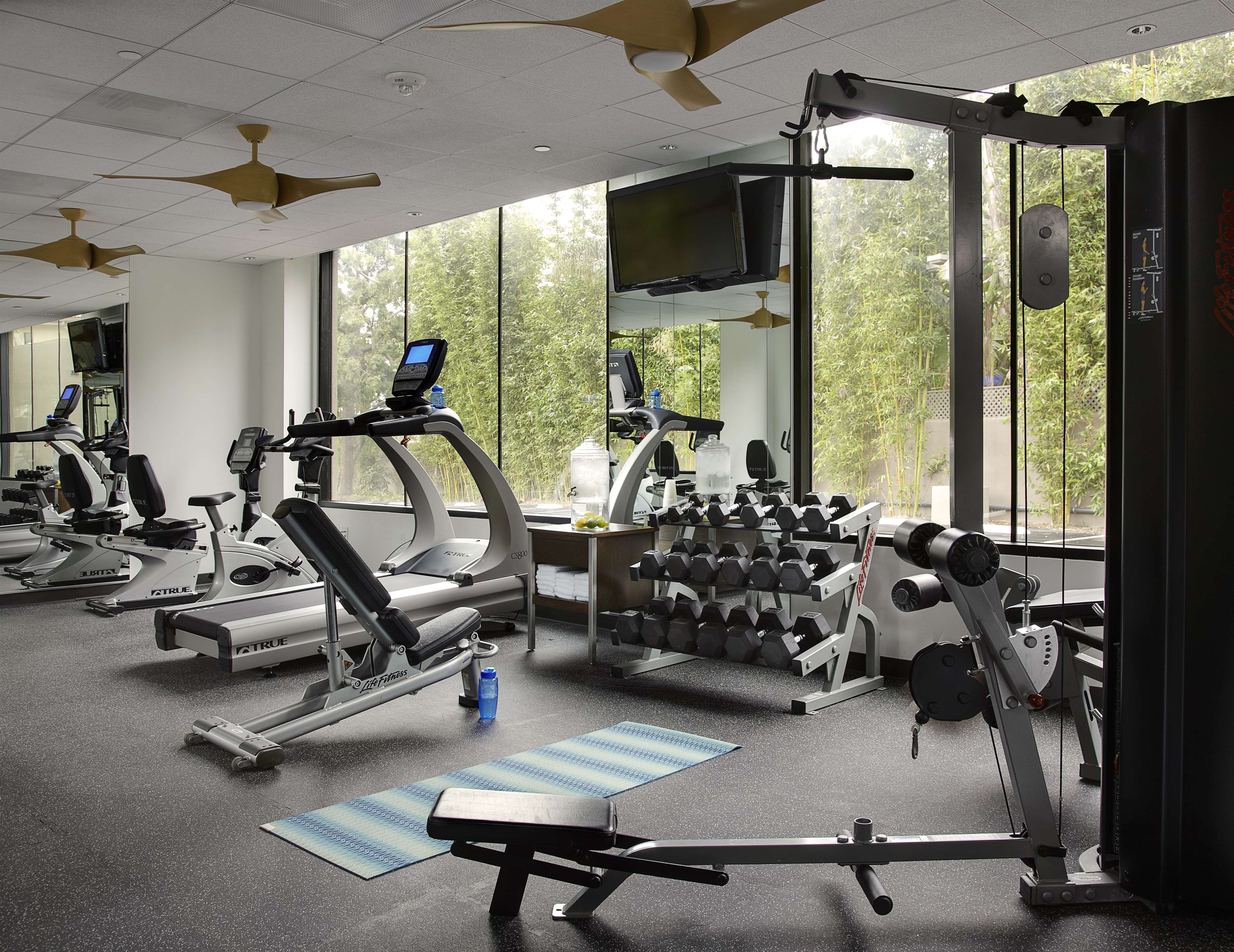 Health club
