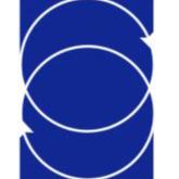 Synergy Information Technology Group Logo