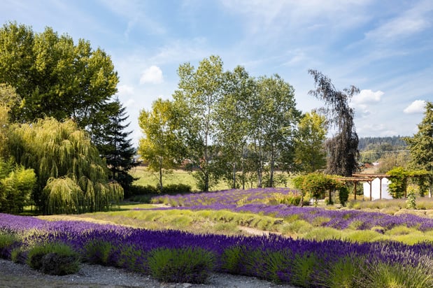 Images Holiday Inn Express & Suites Sequim by IHG