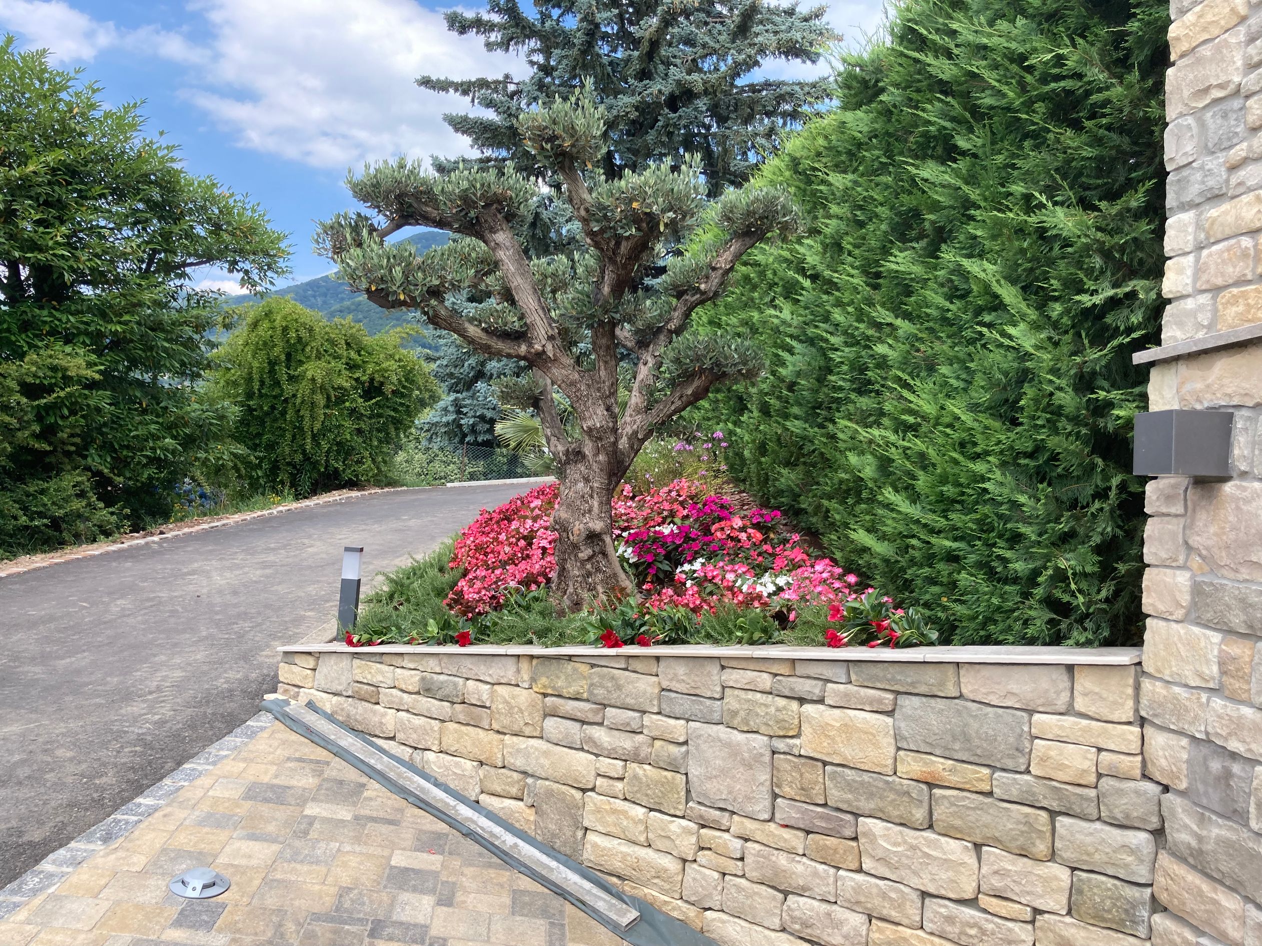 Bilder Galli Garden Sagl