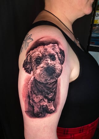 Bilder Bloody Dogs Tattoo & Piercing Inh. Robert Pongrácz