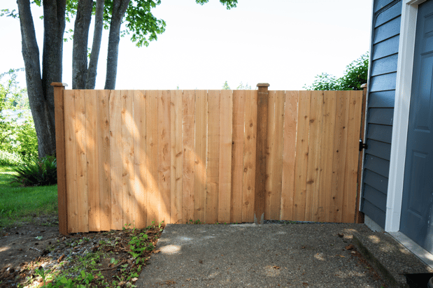 Images Rare Bears Fencing
