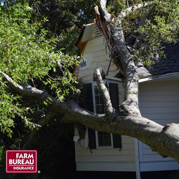 Images Farm Bureau Insurance