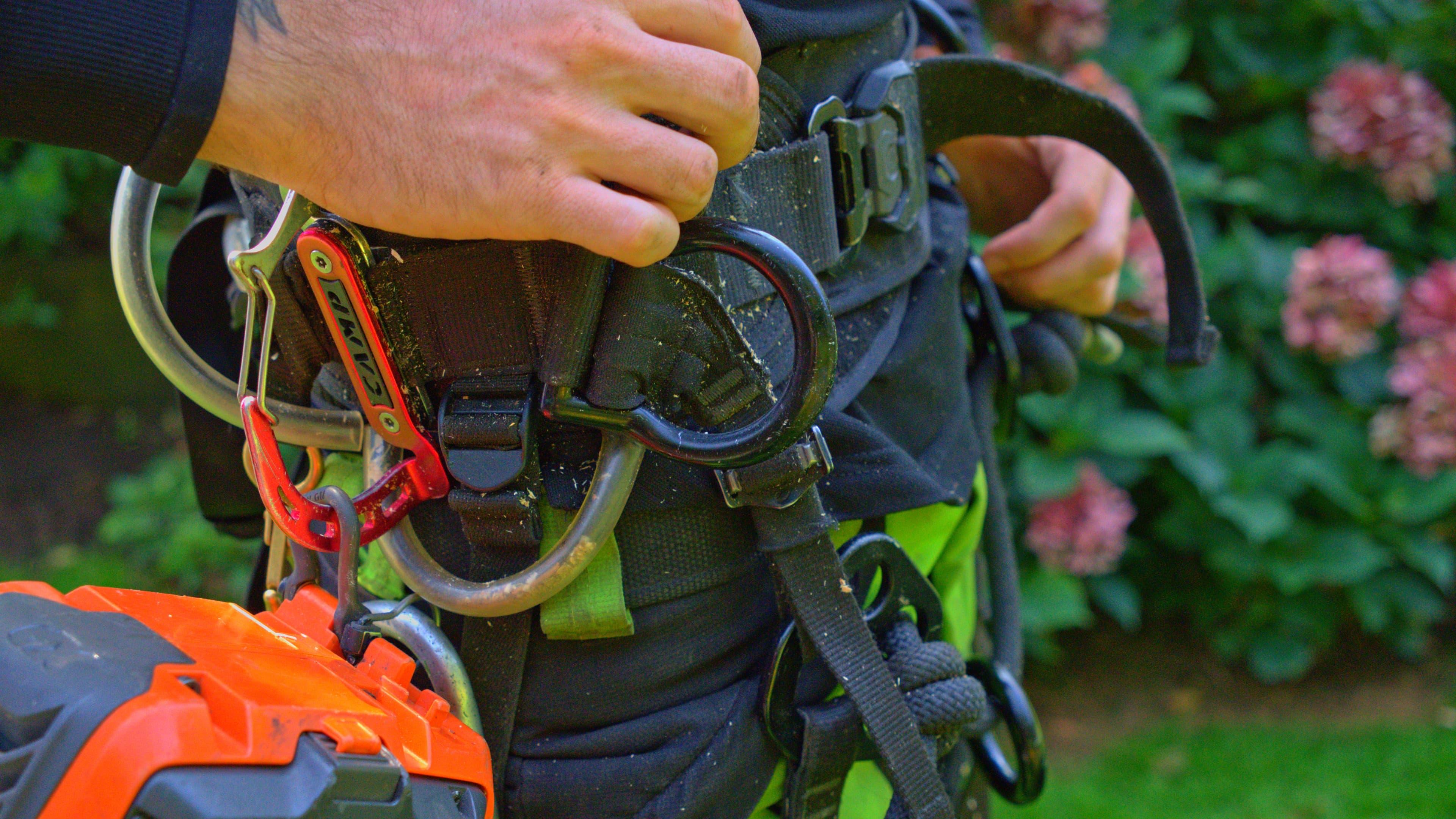 Bild 1 GreenTeam Gartenpflege und Gestaltung Köln in Köln