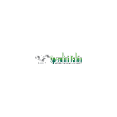 Sperolini Fabio Lavorazione Lamiere Logo