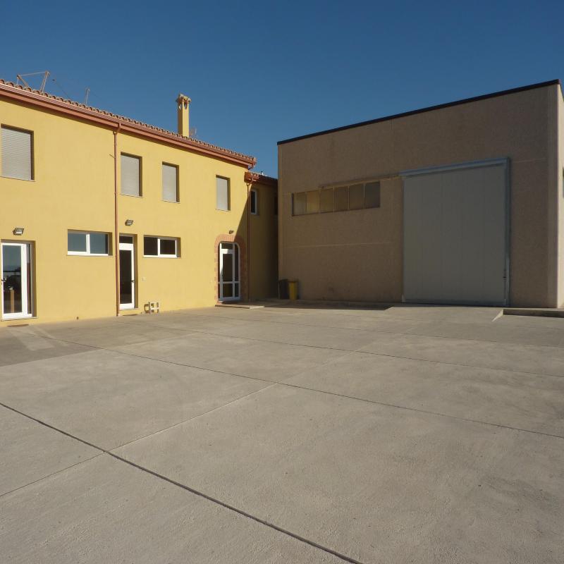 Images Gibbons Sarda