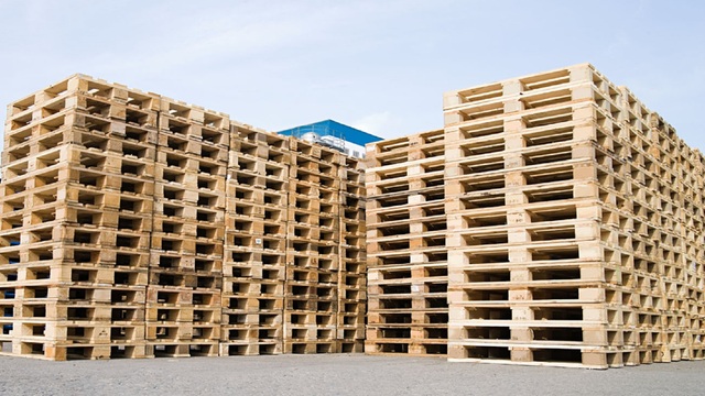 Cm Pallet Services Ltd - Shipping Companies in Upminster RM14 3TJ - 192.com